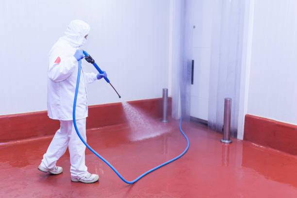 Professional Pressure Washing in Archer, FL